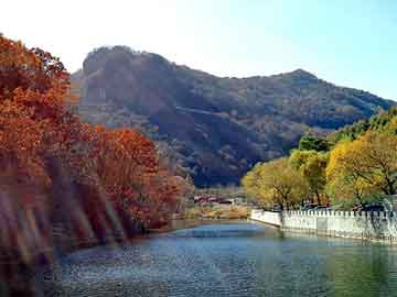 陕西二手机械设备交易市场现状及投资前景