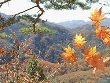 陕西二手机械设备交易市场现状及投资前景